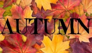AUTUMN COLLECTION